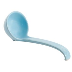 Pioneer Woman Sweet Rose Collection Blue Ladle New